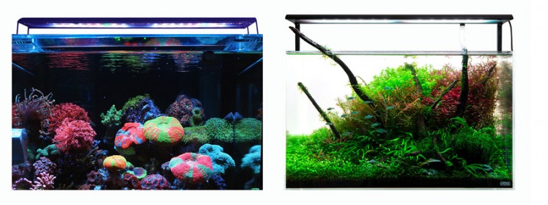 EINFEBEN LED Aquarium Beleuchtung Garten & Heimwerken Tierbedarf Aquaristik Aquarien-Technik Aquarien Beleuchtung 